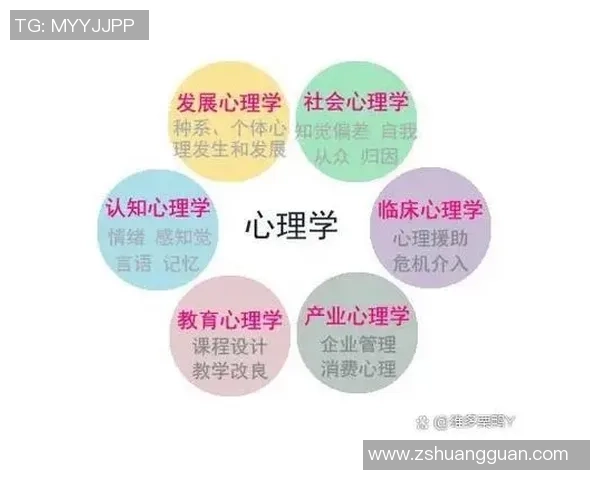 重庆排球队心理素质分析:数据揭示运动员心理韧性与比赛表现的关系 重庆排球队心理素质分析:数据揭示运动员心理韧性与比赛表现的关系