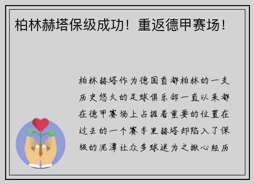 柏林赫塔保级成功！重返德甲赛场！