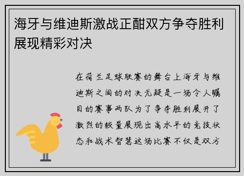海牙与维迪斯激战正酣双方争夺胜利展现精彩对决